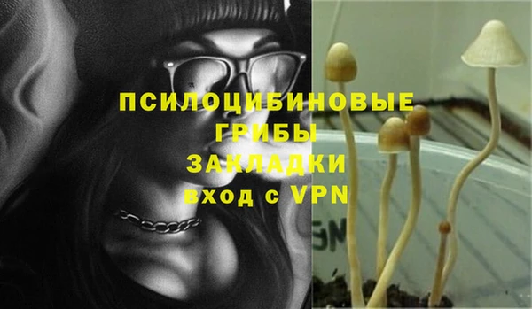 бошки Дмитров