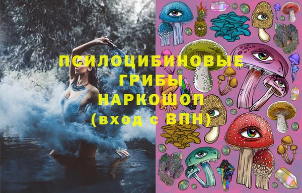ешки Дмитровск