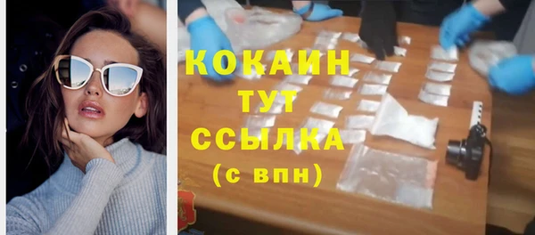 бошки Дмитров