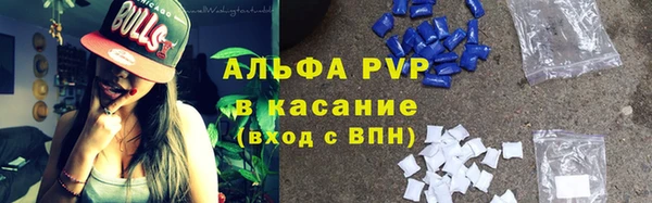 бошки Дмитров